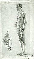 Männlicher Akt, 1919, Zeichnung auf Papier, Die Prüfungsarbeit zur Aufnahme in die Akademie in München. 